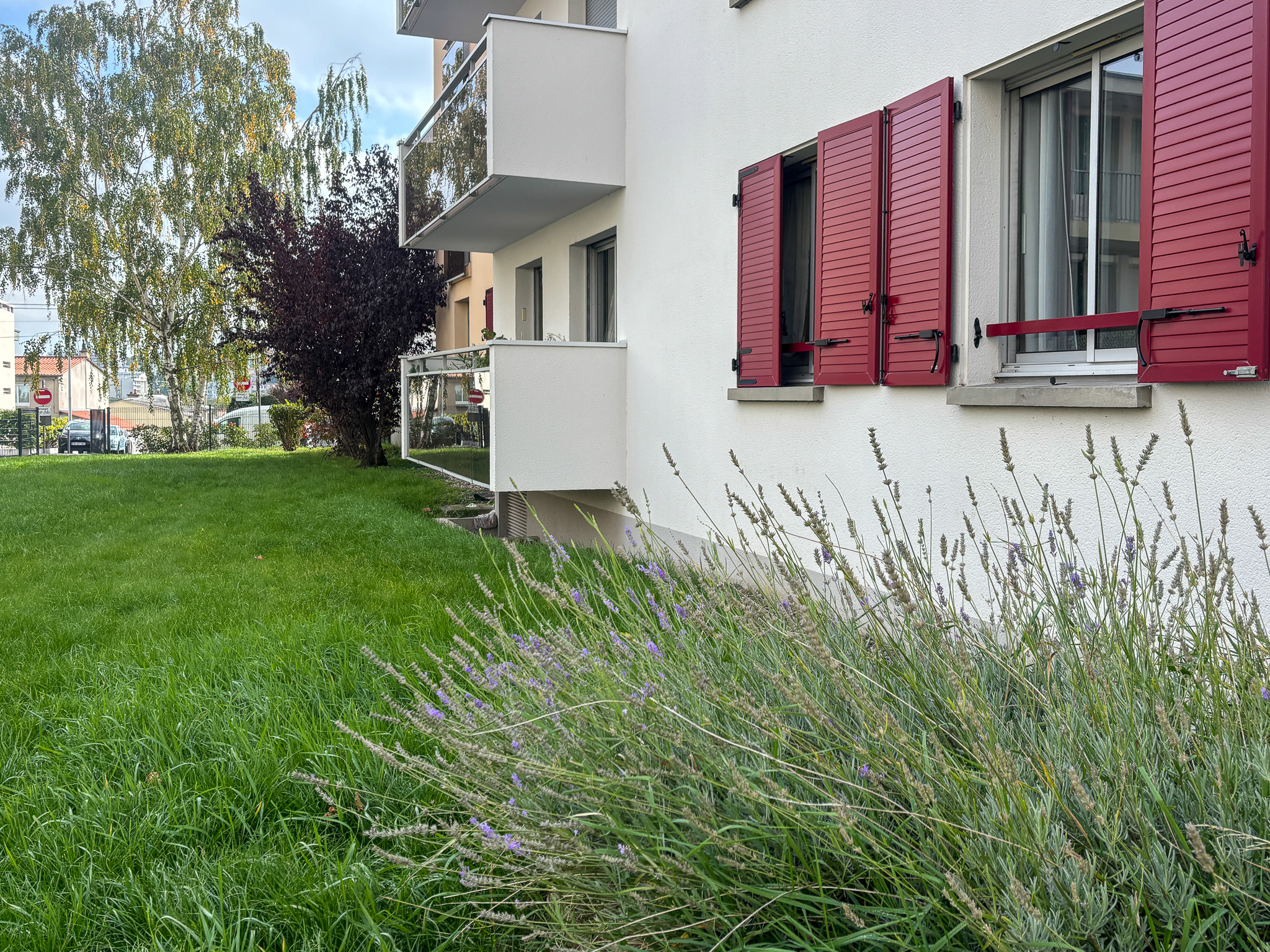 photo_1c7a7b7d2674e059d180d080b653e3ee-1