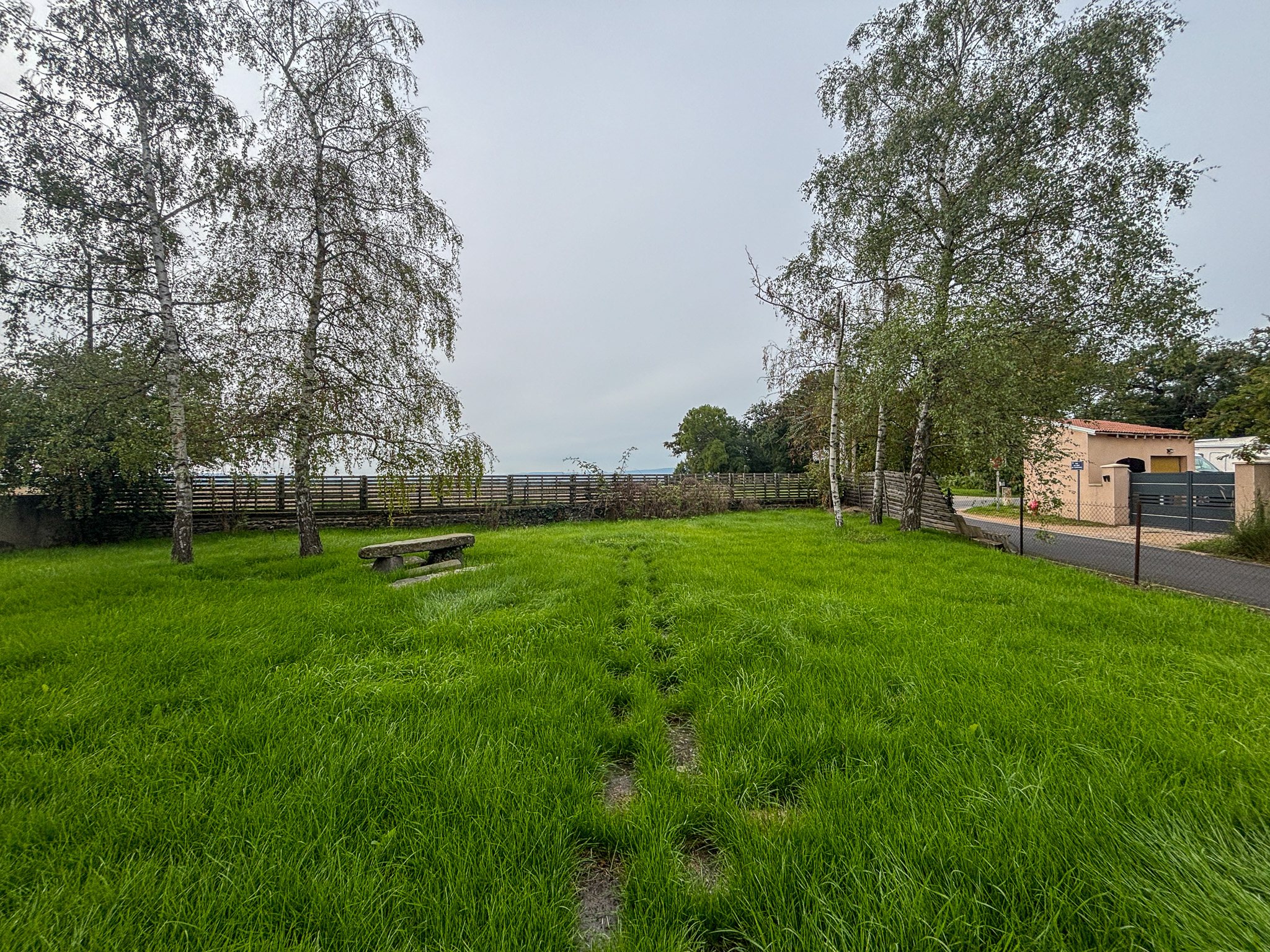 photo_2b0361d2a7ffe482cef7bc83e55e9d60