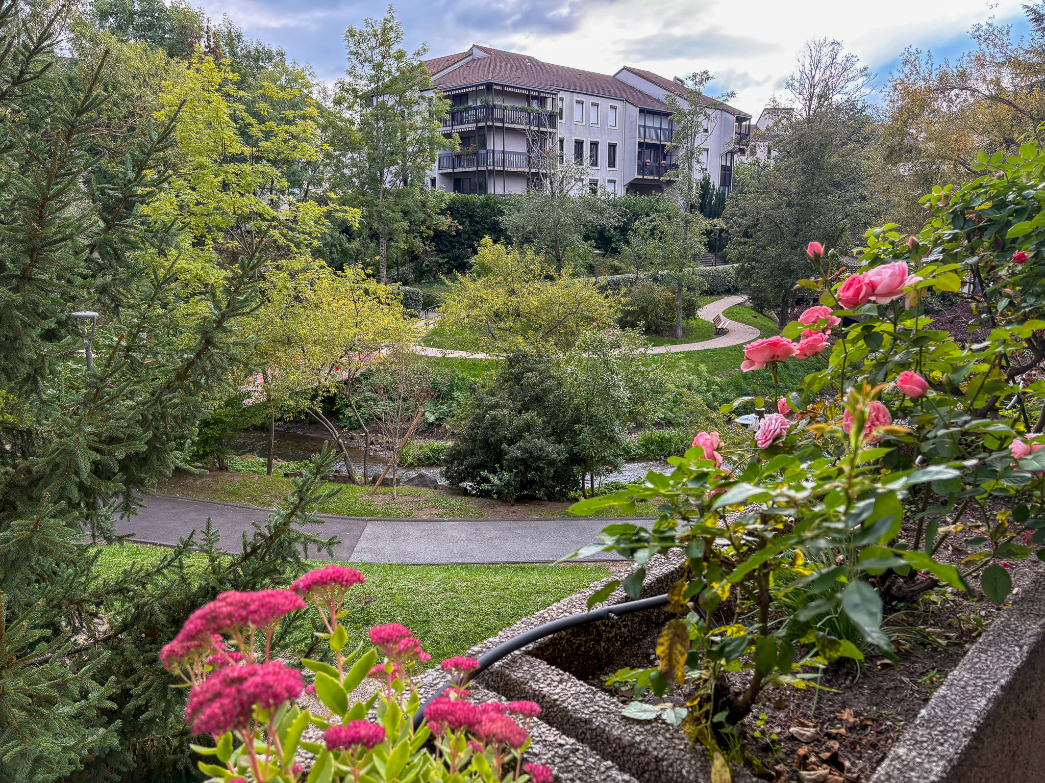 photo_66a73417e5f1d3849c996f45b38f403c