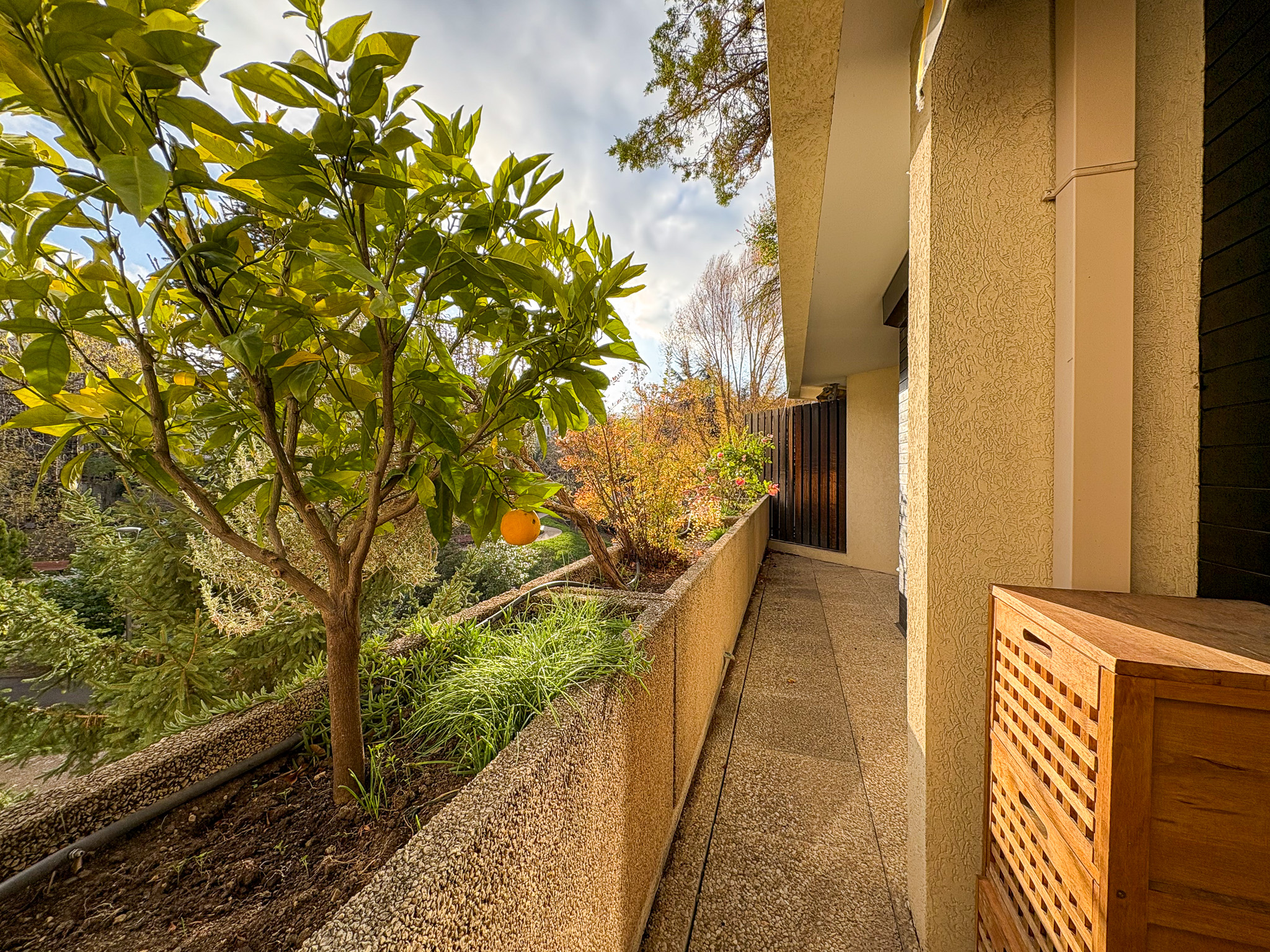 photo_a776c7c00d81720233c3e43bc8152519