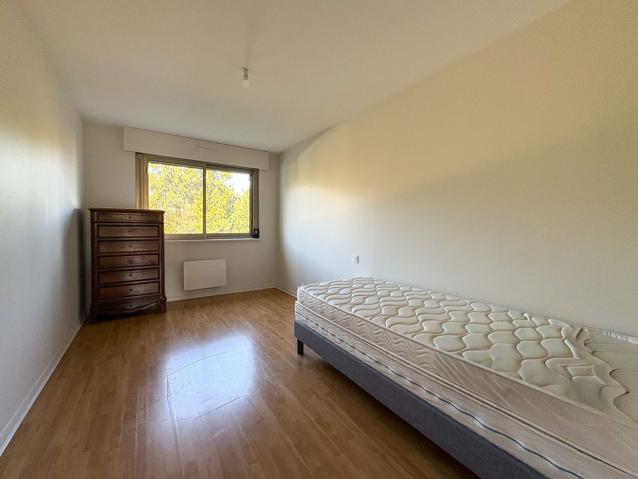 photo_ba7dd734c310414bad2170acc39fd702-2