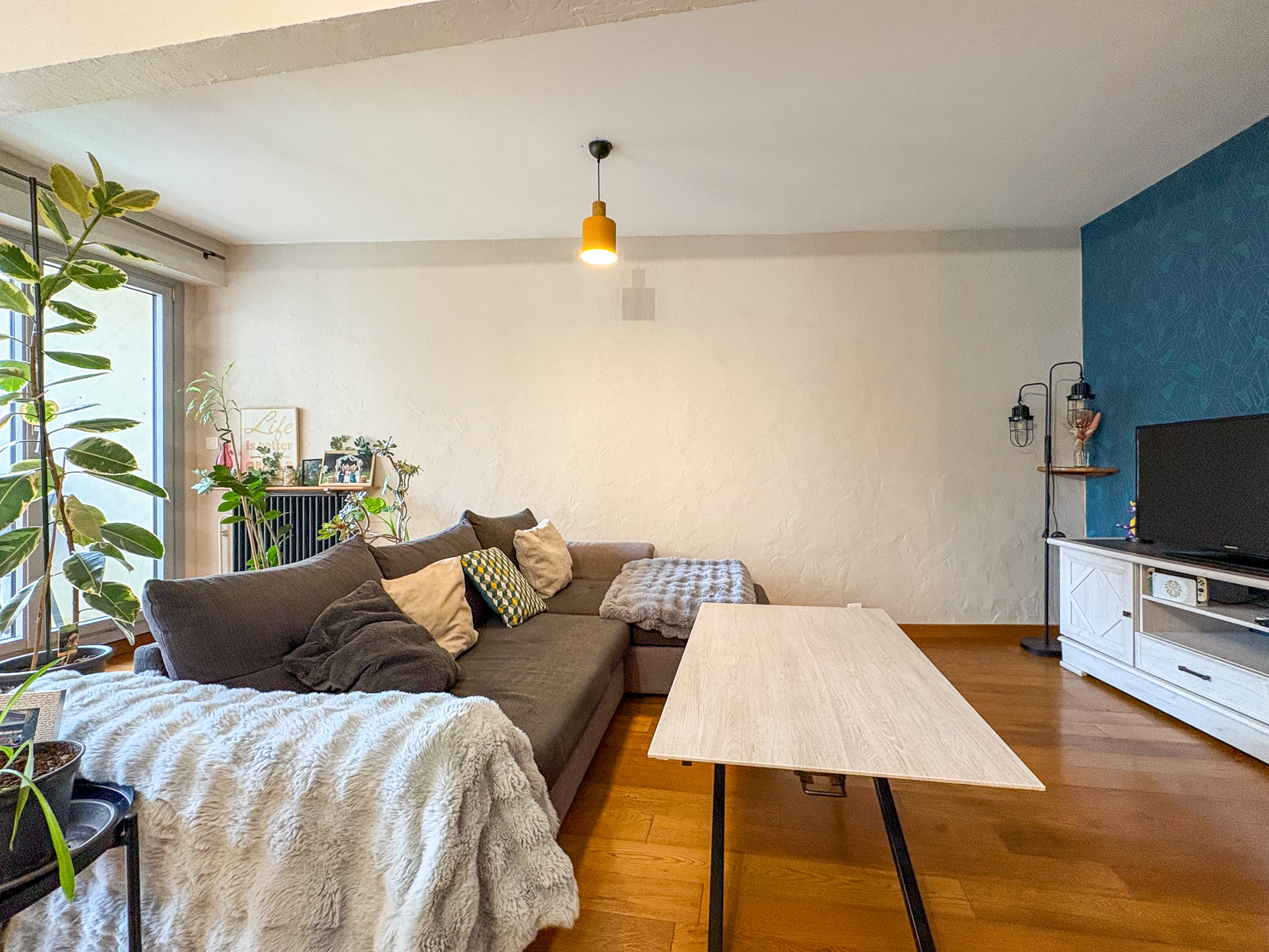 photo_bf0e0529ede925a1fa68eaa92b1b5377-1