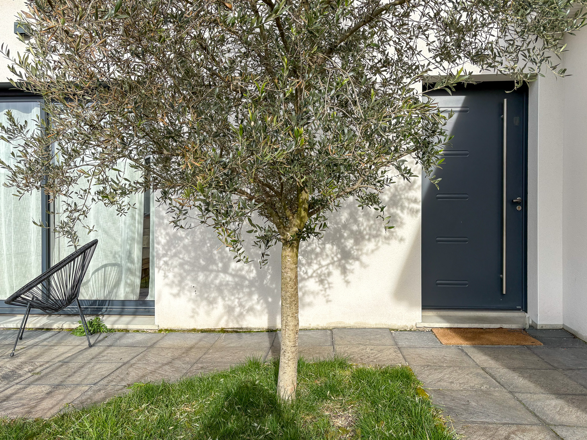 photo_e12dc482a105b3b641210b1d1619553b-1