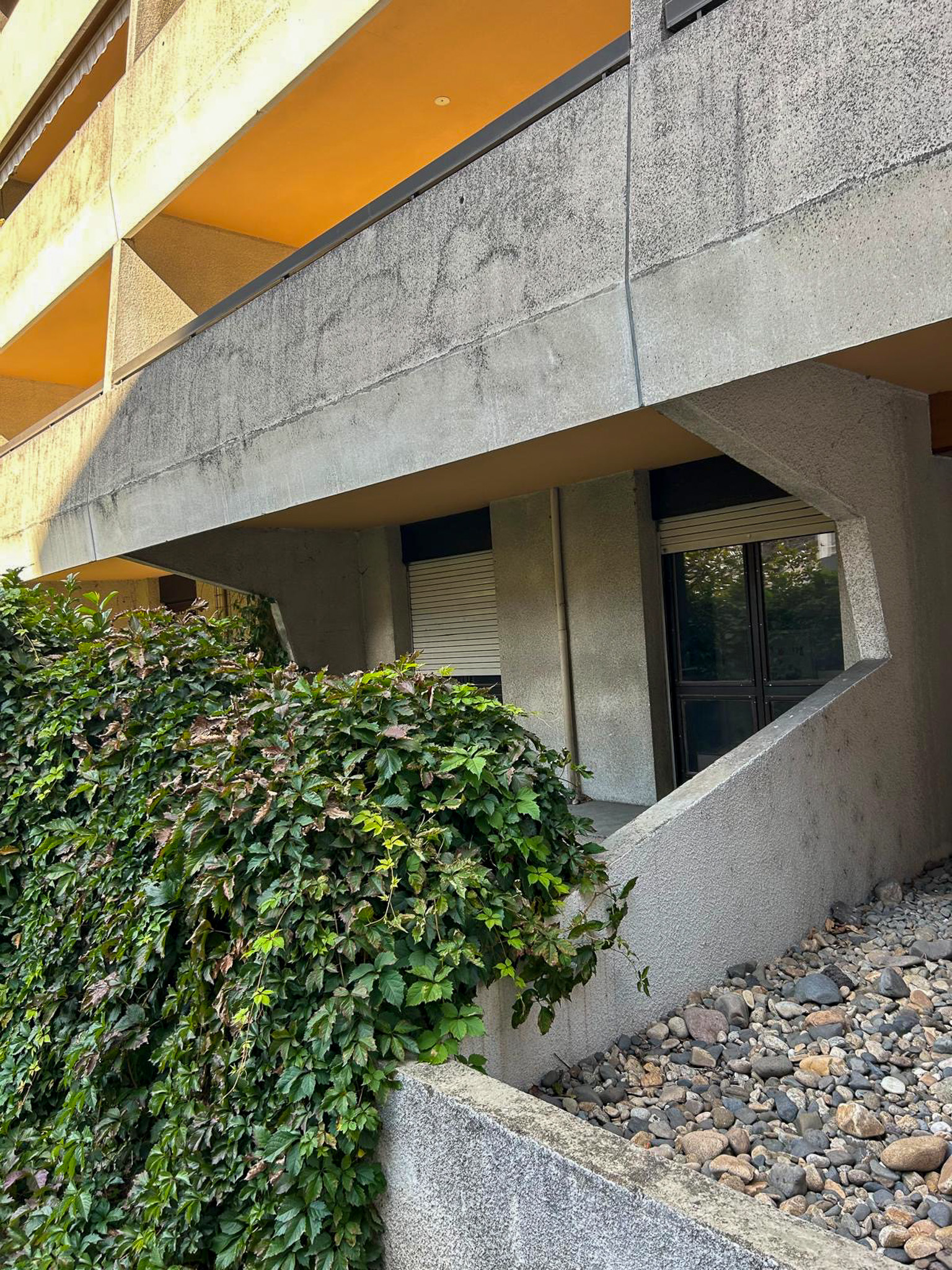 photo_e18230dcb99427b8d1439011926d7f6a-1