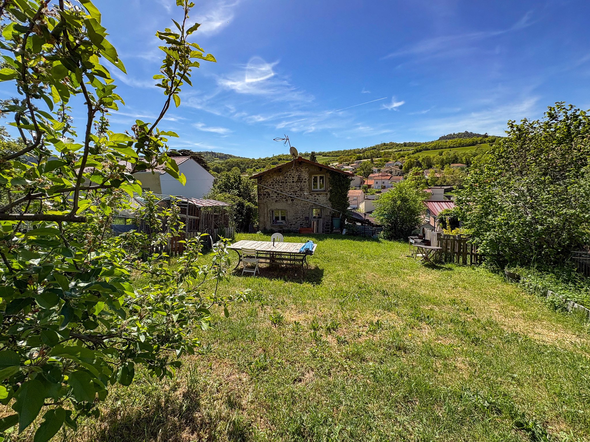 photo_253df0c6d9ac0c839c7bfcb1dcd08e39-2