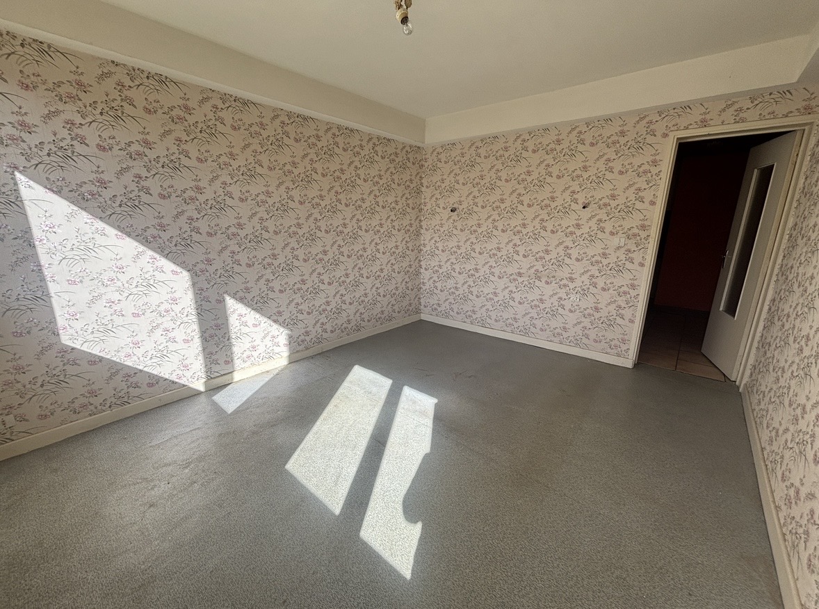 photo_b3976861dbb71422600623046b3e4783-1